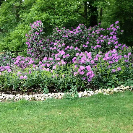 Roulotte Du Petit Bois Σπίτι διακοπών