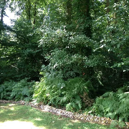 Vakantiehuis Roulotte Du Petit Bois *