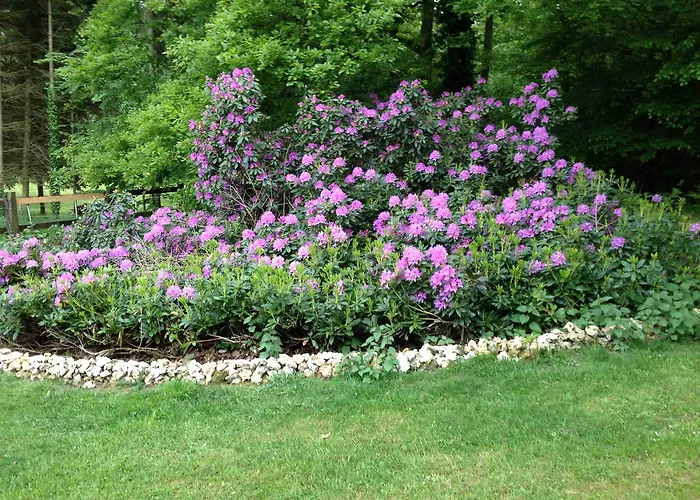 Roulotte Du Petit Bois Holiday home